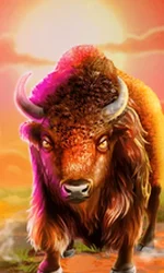 Bison Wilds Doublemax