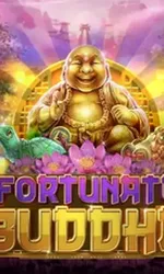 Fortunate Buddha